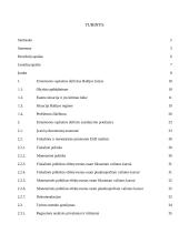 Valstybės fiskalinė politika Lietuvos einamosios sąskaitos deficitui sumažinti 4 puslapis