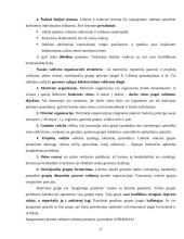 Vilniaus lopšelio-darželio "Bildukas" personalo valdymo ypatumai 17 puslapis