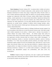 Vilniaus lopšelio-darželio "Bildukas" personalo valdymo ypatumai 5 puslapis