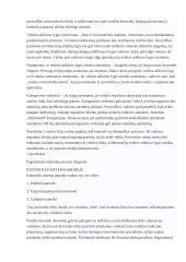 Kontrolės samprata 2 puslapis