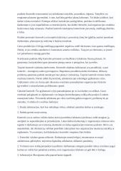 Kontrolės samprata 3 puslapis