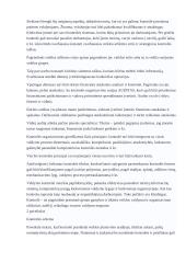 Kontrolės samprata 4 puslapis