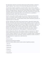 Kontrolės samprata 5 puslapis