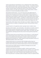 Kontrolės samprata 7 puslapis