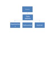 Kontrolės samprata 10 puslapis