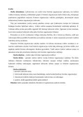 Lyderio įtaka švietimo organizacijos kultūrai 2 puslapis