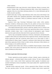 Lyderio įtaka švietimo organizacijos kultūrai 13 puslapis
