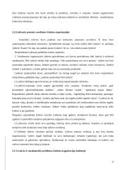 Lyderio įtaka švietimo organizacijos kultūrai 20 puslapis