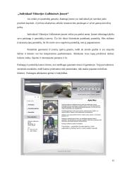 Įmonės analizė: konditerijos įmonė ir paminklų gamybos įmonė 13 puslapis
