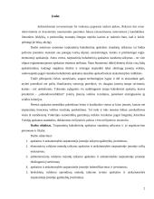 Apskaita ir atskaitomybė tarptautinėje įmonėje  2 puslapis