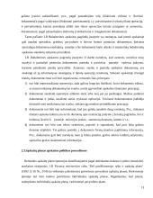 Apskaita ir atskaitomybė tarptautinėje įmonėje  13 puslapis