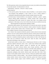 Apskaita ir atskaitomybė tarptautinėje įmonėje  17 puslapis