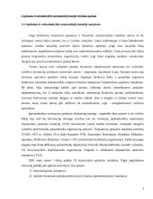 Apskaita ir atskaitomybė tarptautinėje įmonėje  3 puslapis