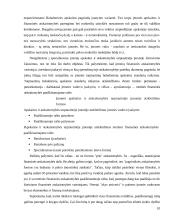 Apskaita ir atskaitomybė tarptautinėje įmonėje  10 puslapis