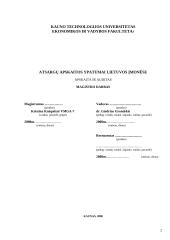Atsargų apskaitos ypatumai Lietuvos įmonėse  2 puslapis