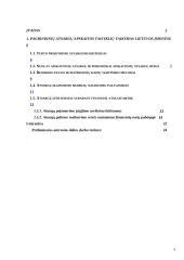 Atsargų apskaitos ypatumai Lietuvos įmonėse  3 puslapis