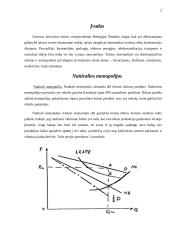 Natūralios monopolijos 2 puslapis