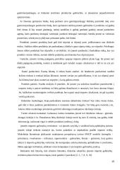 Prekybos tinklo "Senukai" transporto padalinio optimizavimas 15 puslapis