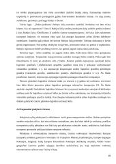 Prekybos tinklo "Senukai" transporto padalinio optimizavimas 19 puslapis