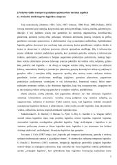 Prekybos tinklo "Senukai" transporto padalinio optimizavimas 7 puslapis