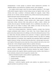 Prekybos tinklo "Senukai" transporto padalinio optimizavimas 8 puslapis