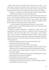 Prekybos tinklo "Senukai" transporto padalinio optimizavimas 10 puslapis