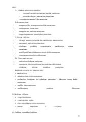 Transporto paslaugas teikiančios įmonės organizacinė elgsena 11 puslapis