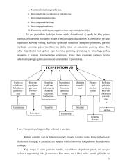 Transporto paslaugas teikiančios įmonės organizacinė elgsena 15 puslapis