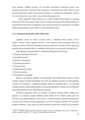 Transporto paslaugas teikiančios įmonės organizacinė elgsena 16 puslapis