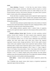 UAB “Festina” veiklos analizė 2 puslapis