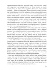 UAB “Festina” veiklos analizė 20 puslapis