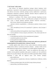 UAB “Festina” veiklos analizė 6 puslapis