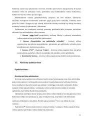 Transporto maršrutų optimizavimas  11 puslapis