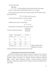 Transporto maršrutų optimizavimas  12 puslapis