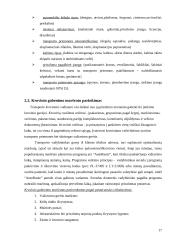 Transporto maršrutų optimizavimas  17 puslapis