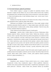 Transporto maršrutų optimizavimas  18 puslapis