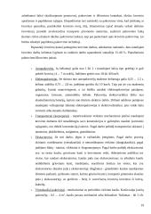 Transporto maršrutų optimizavimas  19 puslapis