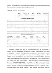 Transporto maršrutų optimizavimas  5 puslapis