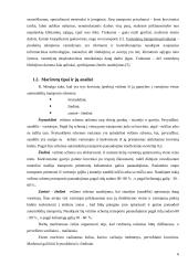 Transporto maršrutų optimizavimas  6 puslapis