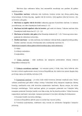 Transporto maršrutų optimizavimas  7 puslapis