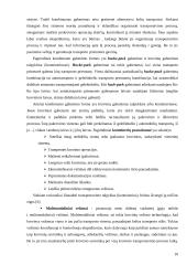 Transporto maršrutų optimizavimas  10 puslapis