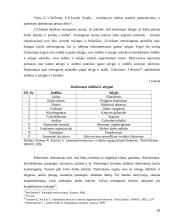 Darbuotojų motyvavimo teoriniai pagrindai  14 puslapis