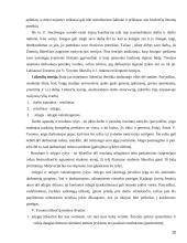 Darbuotojų motyvavimo teoriniai pagrindai  19 puslapis