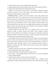 Darbuotojų motyvavimo teoriniai pagrindai  20 puslapis