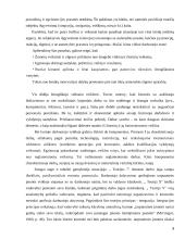 Darbuotojų motyvavimo teoriniai pagrindai  8 puslapis