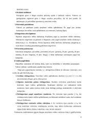 Darbuotojų vertinimo sistema  14 puslapis