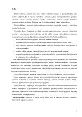 Darbuotojų vertinimo sistema  3 puslapis