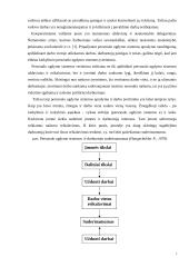 Darbuotojų vertinimo sistema  7 puslapis