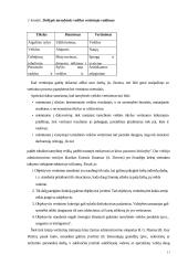 Sisteminis požiūris į darbo vietų vertinimą 11 puslapis