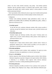 Sisteminis požiūris į darbo vietų vertinimą 12 puslapis